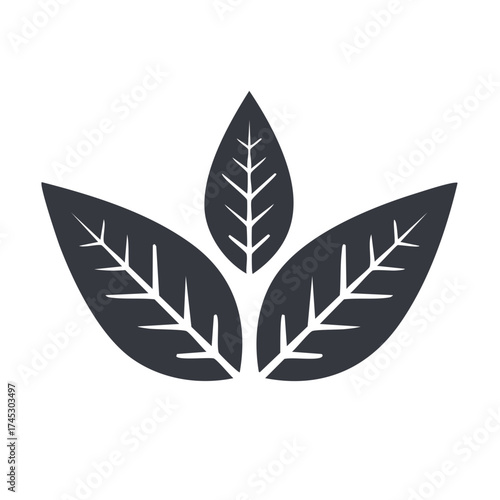 Abstract leaves graphic. Minimalist botanical design element.