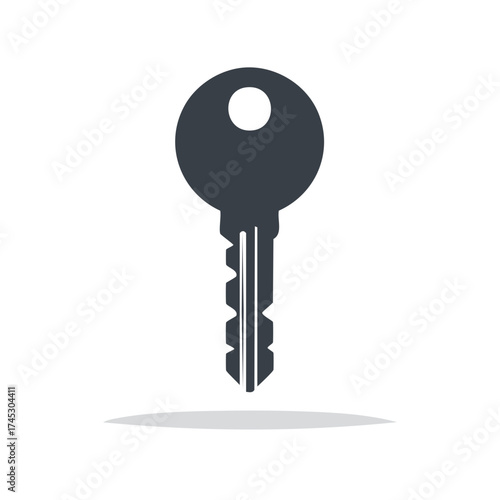 Simple Gray Key Illustration, Security and Access Concept, Door Key