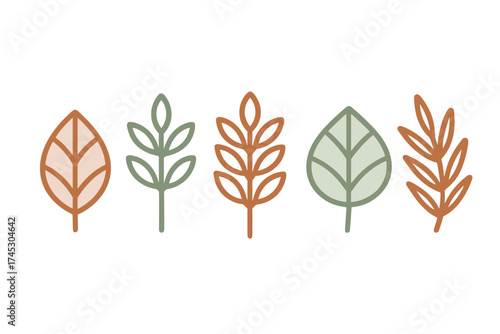 Minimalist set of five stylized botanical leaves and branches in earthy boho colors