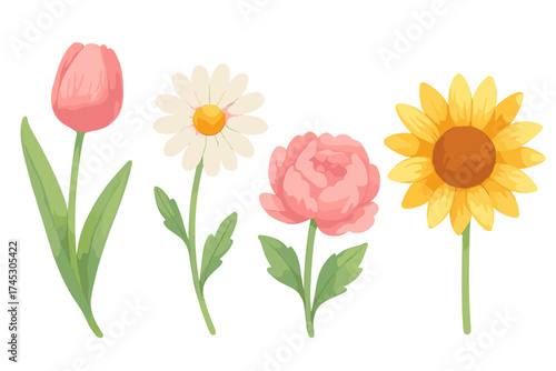 Watercolor style collection of spring and summer flowers: tulip, daisy, peony, sunflower blossoms
