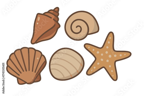 Collection of various brown and beige seashells and a starfish isolated on white background