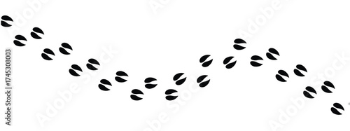 Silhouettes of animal footprints of goat – black vector tracks of birds, reptiles, and mammals. includes paw prints, hoof marks, and steps from wolf, duck, frog design in eps 10.