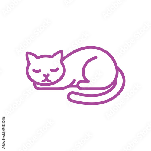 Sleeping cat curled up in a ball on a white background napping resting