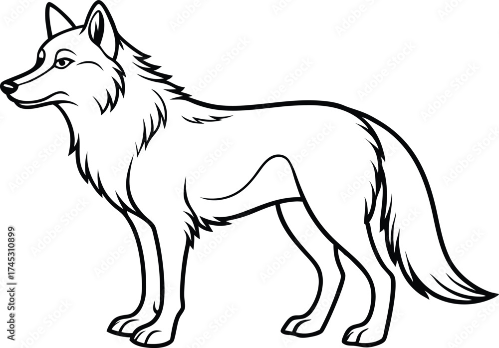 Obraz premium Wolf Outline Vector, Wolf Silhouette Vector, Minimalist Wolf Head Line Art Illustration.