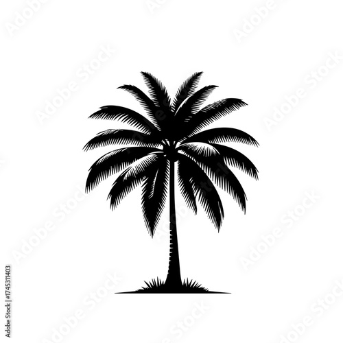 Tropical Beach Coconut Palm Tree Vector Illustration