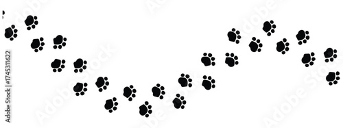 Paw vector foot trail print on white background. vector cat or Dog, path pattern animal tracks, isolated on white background in eps 10.