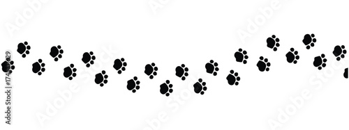 Paw vector foot trail print on white background. vector cat or Dog, path pattern animal tracks, isolated on white background in eps 10.
