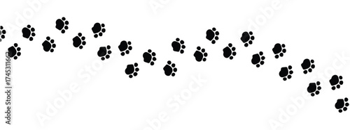 Paw vector foot trail print on white background. vector cat or Dog, path pattern animal tracks, isolated on white background in eps 10.