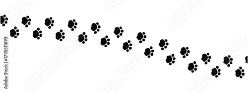 Paw vector foot trail print on white background. vector cat or Dog, path pattern animal tracks, isolated on white background in eps 10.