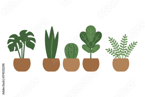 Collection of five different green potted houseplants on white background
