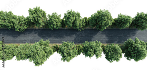 Aerial view of a straight road bordered by lush green trees. The asphalt is weathered and marked