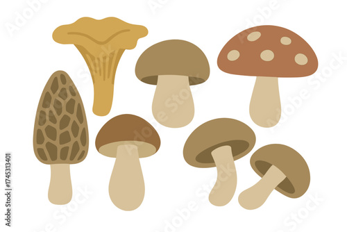 Assortment of stylized edible and fantasy mushrooms isolated on white background