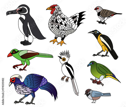 Bird collection of different birds. White helmetshrike, banded penguin, Wyandotte chicken, diamond firetail, javan green magpie, kalij pheasant, boreal chickadee, yellow-vented green pigeon, turpial. 
