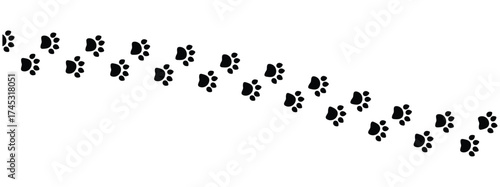 Vector paw trail of animal footprint. Dog, cat, puppy, fox, wolf tracks isolated on white background. Animal tracks in silhouette. Wild animal footsteps vector illustration in eps 10.