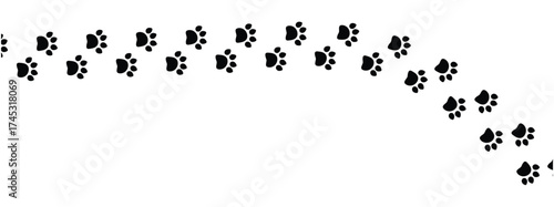 Vector paw trail of animal footprint. Dog, cat, puppy, fox, wolf tracks isolated on white background. Animal tracks in silhouette. Wild animal footsteps vector illustration in eps 10.