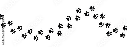 Vector paw trail of animal footprint. Dog, cat, puppy, fox, wolf tracks isolated on white background. Animal tracks in silhouette. Wild animal footsteps vector illustration in eps 10.