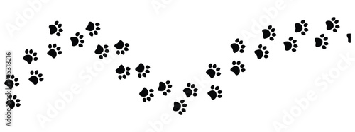 Vector paw trail of animal footprint. Dog, cat, puppy, fox, wolf tracks isolated on white background. Animal tracks in silhouette. Wild animal footsteps vector illustration in eps 10.
