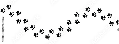 Vector paw trail of animal footprint. Dog, cat, puppy, fox, wolf tracks isolated on white background. Animal tracks in silhouette. Wild animal footsteps vector illustration in eps 10.