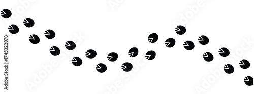 Wild life footprint tracks. Animals paws prints, black silhouettes traces, hunters and zoologists manual, stickers with text, zebra, rat and dog, isolated vector set in eps 10.