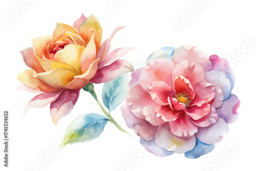 Minimalist Watercolor Flower Collection 