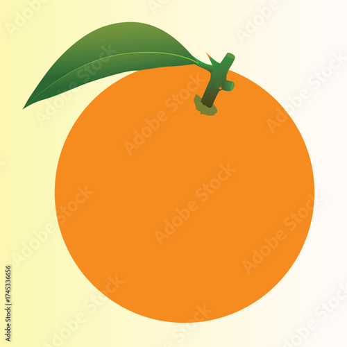 Realstic Orange vector illustration  