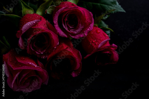 Close up of fresh red roses with water drops on dark background. Elegant floral composition symbolizing love, romance, and tenderness perfect for Valentine Day or luxury design.