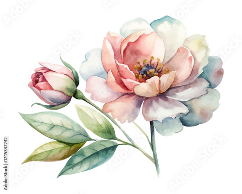 Minimalist Watercolor Botanical Flowers Clipart isolated on white background