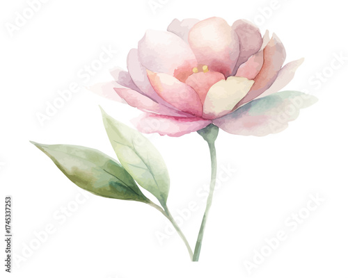 Minimalist Watercolor Botanical Flowers Clipart isolated on white background