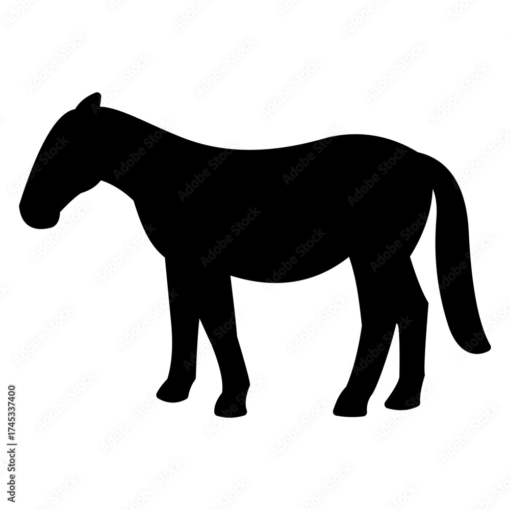 Obraz premium horse