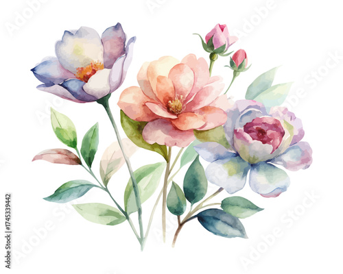 Minimal Botanical Watercolor Flowers Set vector illustration