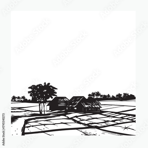 rural view of rice fields with trees