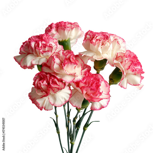A beautiful bouquet of pink and white carnation flowers isolated on transparent background, perfect for floral arrangements and spring themes