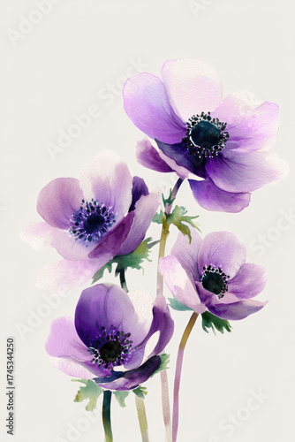 
Watercolor anemones with a light purple color palette, set against a simple and clean white background.