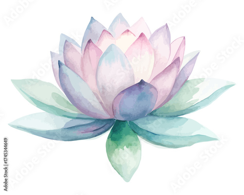 Lotus Flower Watercolor Painting Zen Style Isolated on white background
