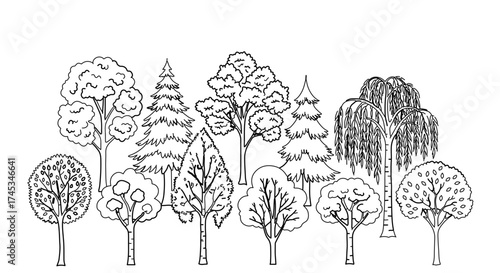 Diverse tree collection illustration, showcasing various species in detailed line art style