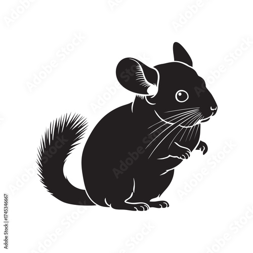 Chinchilla Silhouette Vector Icon  Cute Exotic Pet Rodent Graphic