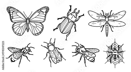Set of insects in sketch style butterfly, beetle, dragonfly, bee and spider