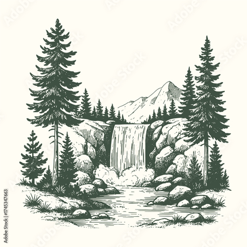 Mountain forest waterfall flowing between pine trees, vintage nature landscape illustration.