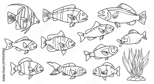 Collection of hand drawn fish for design and decoration purposes