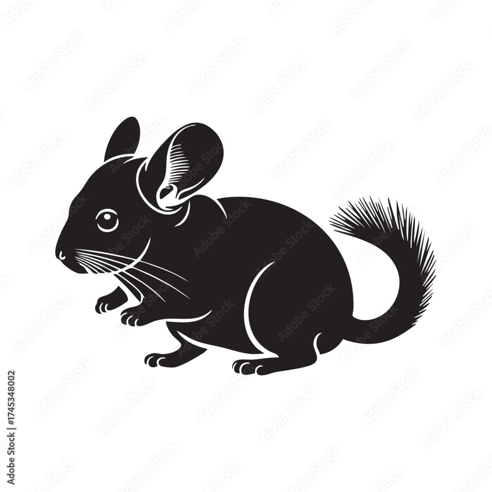Obraz premium Chinchilla Profile Silhouette Standing Exotic Pet Vector Icon