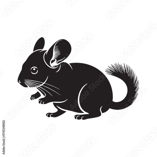 Chinchilla Profile Silhouette Standing Exotic Pet Vector Icon