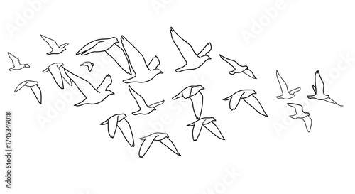 Flock of birds flying in the sky, hand drawn illustration minimalist style