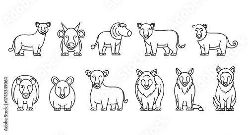 Illustration of various animals, including mammal, reptile, amphibian, bird
