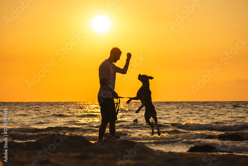 Cuadro en lienzo Man playing with his dog on the beach at sunset, dog jumping on hind legs near t