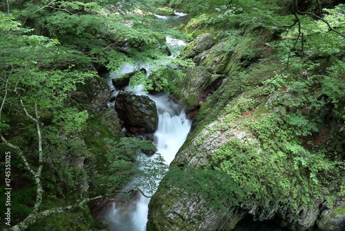 小田深山渓谷　安芸貞渕の滝　夏の景観　(愛媛県　内子町）
