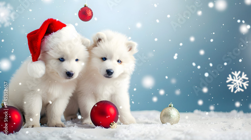 Christmas Puppies: White Pomeranian Spitz Wearing Santa Hats—Adorable Fluffy Tiny Canines with Festive Red Headgear, Perfect for Christmas Photos, Holiday Decor Accents & Cozy Winter Cheer