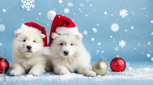 Christmas Puppies: White Pomeranian Spitz Wearing Santa Hats—Adorable Fluffy Tiny Canines with Festive Red Headgear, Perfect for Christmas Photos, Holiday Decor Accents & Cozy Winter Cheer