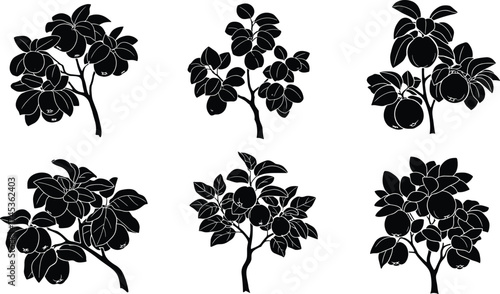 Fruit tree silhouette illustration set, round fruit and foliage design, black botanical art, exotic plant concept, agriculture, farming, decorative, nature