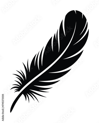 Feather black and white silhouette vector drawing