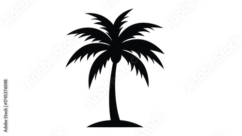 Silhouette of a solitary palm tree standing tall on a small mound of earth a classic tropical symbol